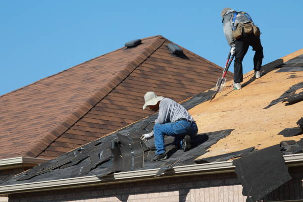 Best Asphalt Shingle Roofing  in Sudley, VA